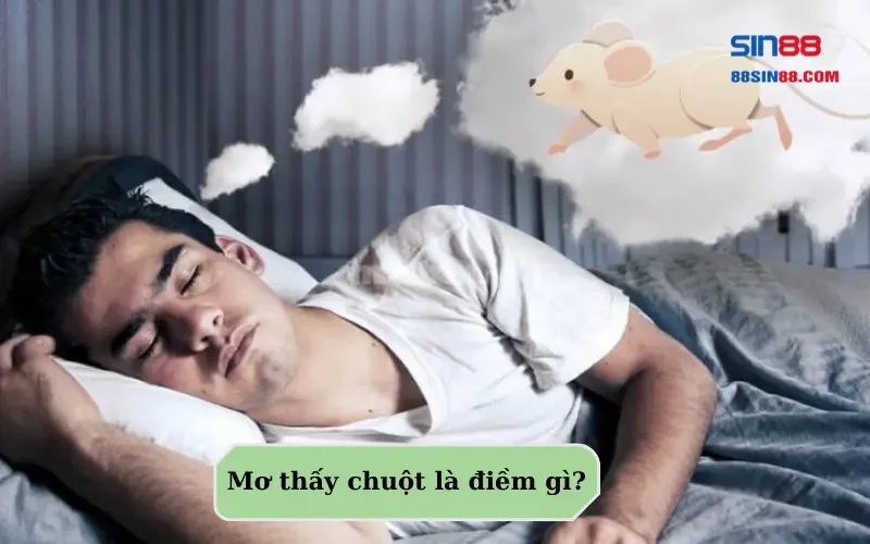 Những điều cần phải biết khi nằm mơ thấy chuột! 1 Mơ thấy chuột là điềm gì?